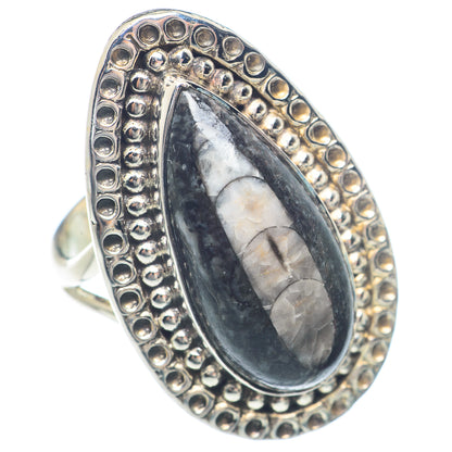 Orthoceras Fossil Rings handcrafted by Ana Silver Co - RING71794