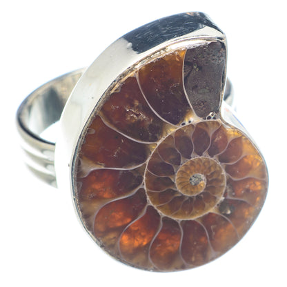 Ammonite Fossil Rings handcrafted by Ana Silver Co - RING71863