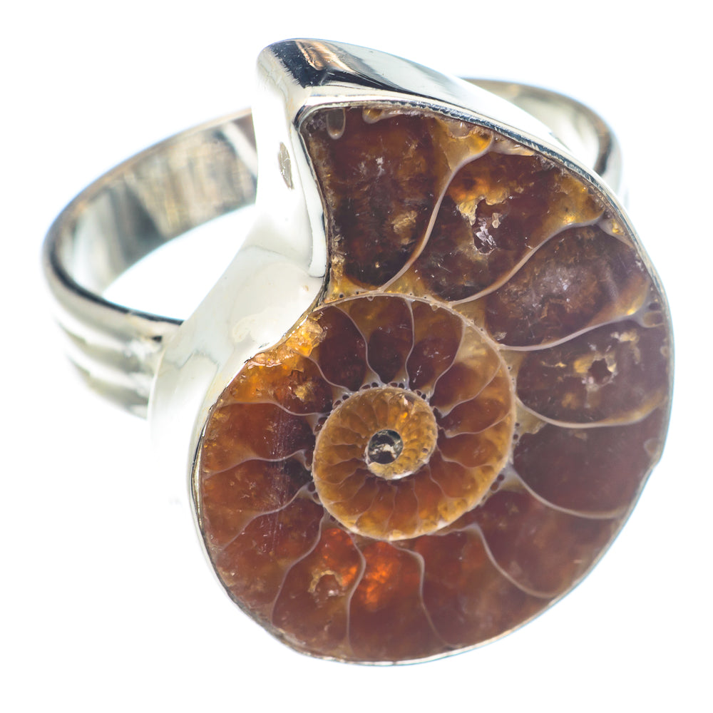 Ammonite Fossil Rings handcrafted by Ana Silver Co - RING72005