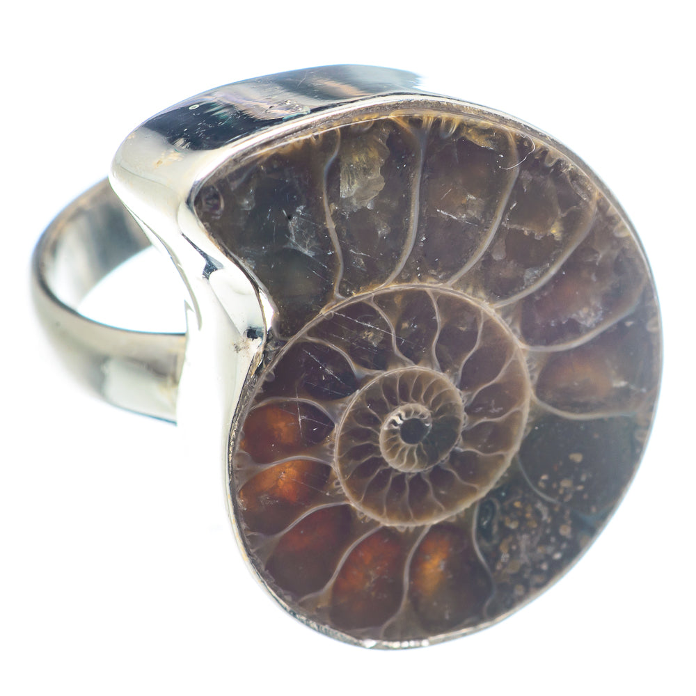 Ammmonite Fossil Rings handcrafted by Ana Silver Co - RING72042