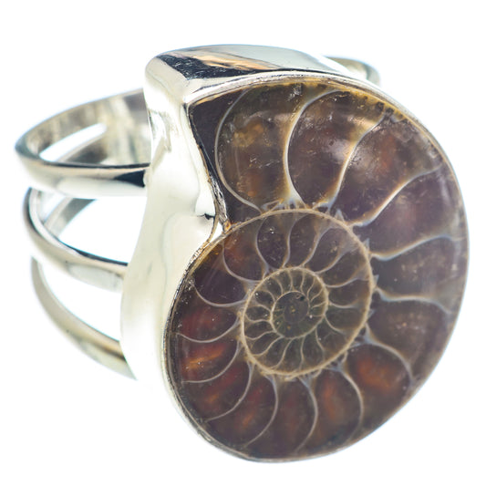 Ammonite Fossil Rings handcrafted by Ana Silver Co - RING72098