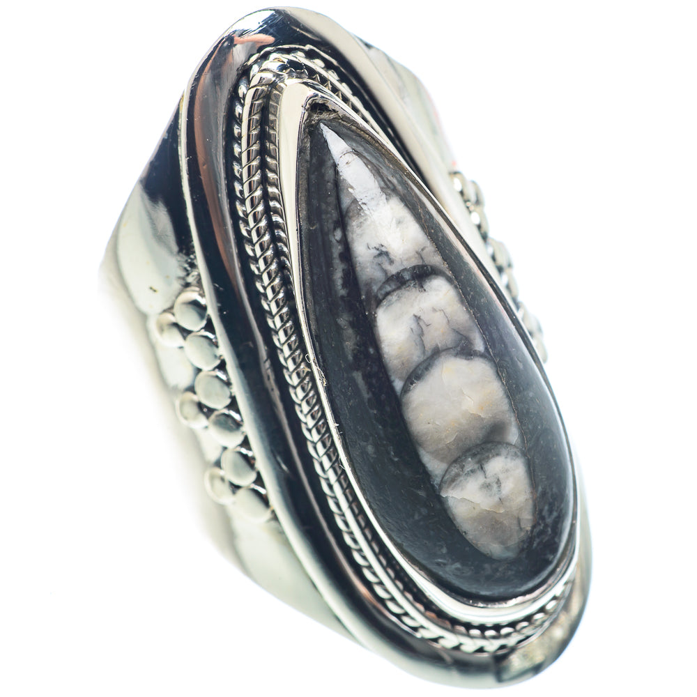 Orthoceras Fossil Rings handcrafted by Ana Silver Co - RING72113