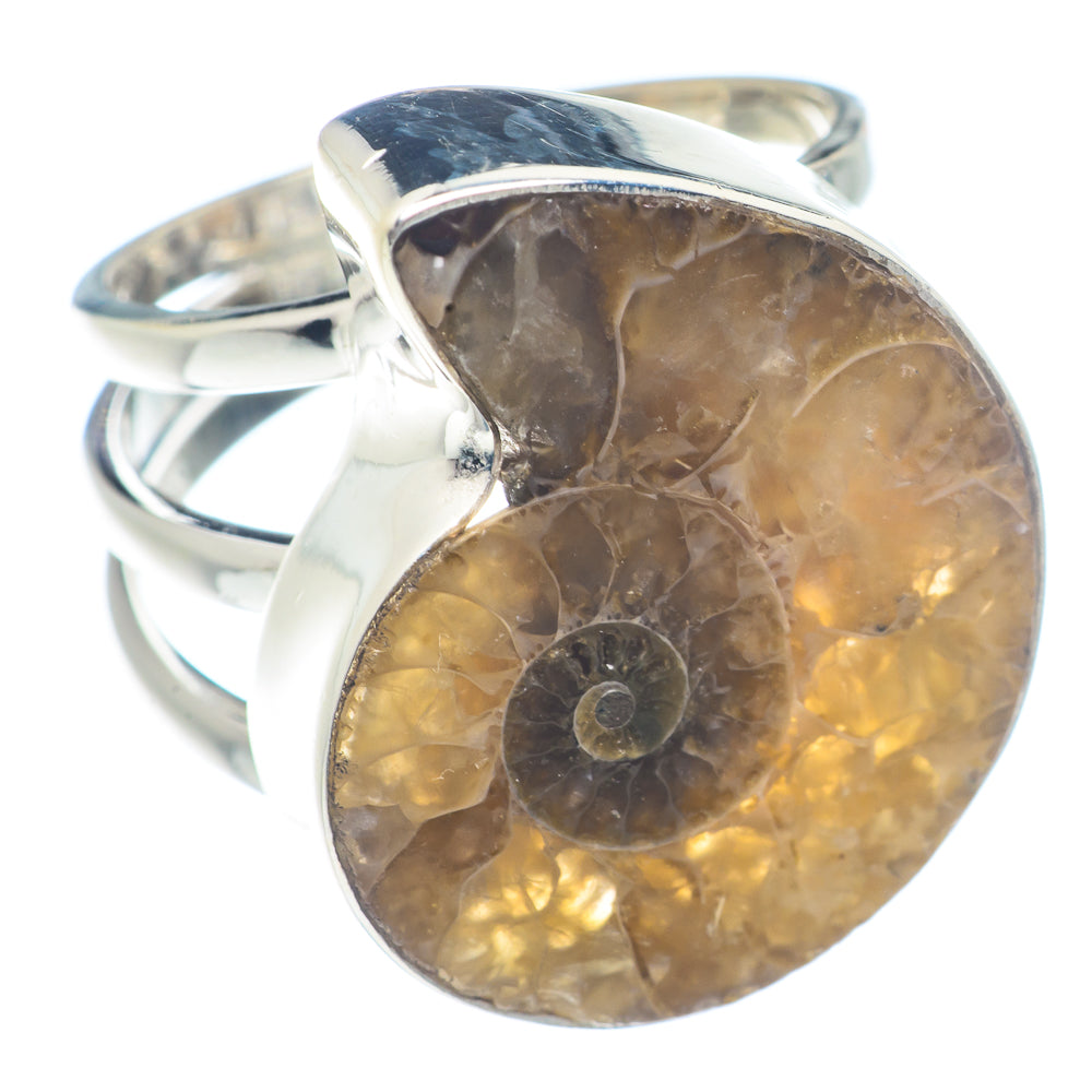 Ammonite Fossil Rings handcrafted by Ana Silver Co - RING72148