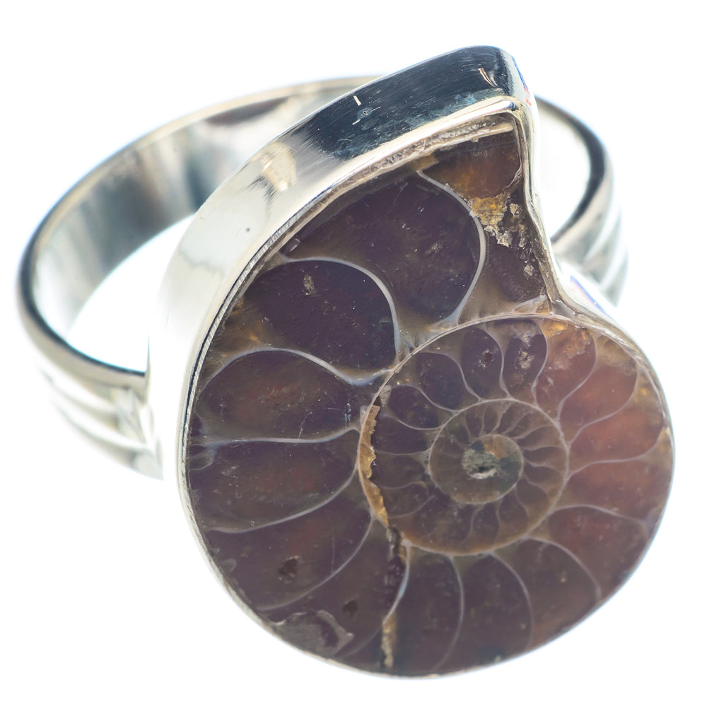 Ammonite Fossil Rings handcrafted by Ana Silver Co - RING72235
