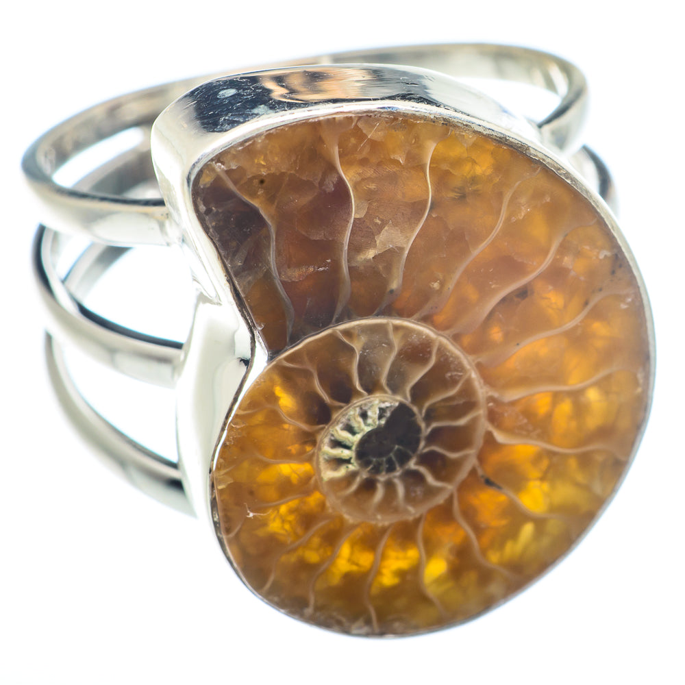 Ammonite Fossil Rings handcrafted by Ana Silver Co - RING72425