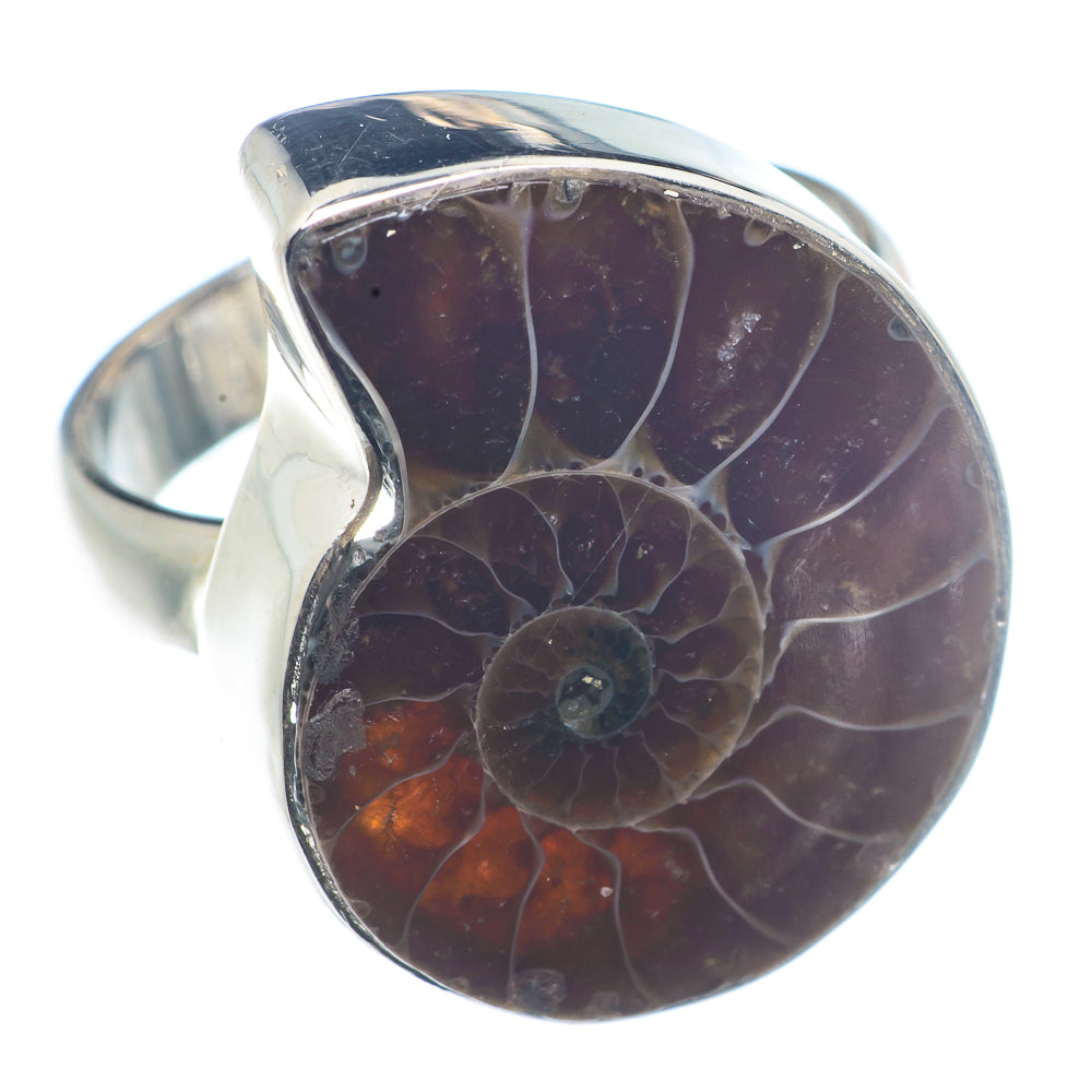 Ammonite Fossil Rings handcrafted by Ana Silver Co - RING72478