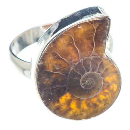Ammonite Fossil Rings handcrafted by Ana Silver Co - RING72608
