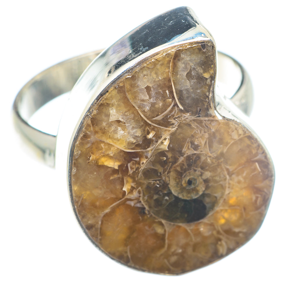 Ammonite Fossil Rings handcrafted by Ana Silver Co - RING72646