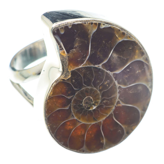 Ammonite Fossil Rings handcrafted by Ana Silver Co - RING72764