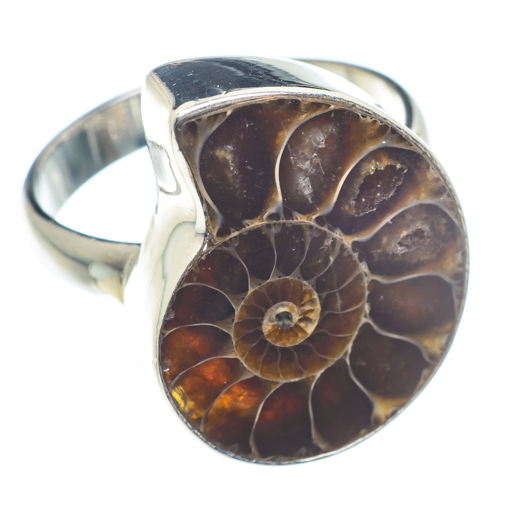 Ammonite Fossil Rings handcrafted by Ana Silver Co - RING72816