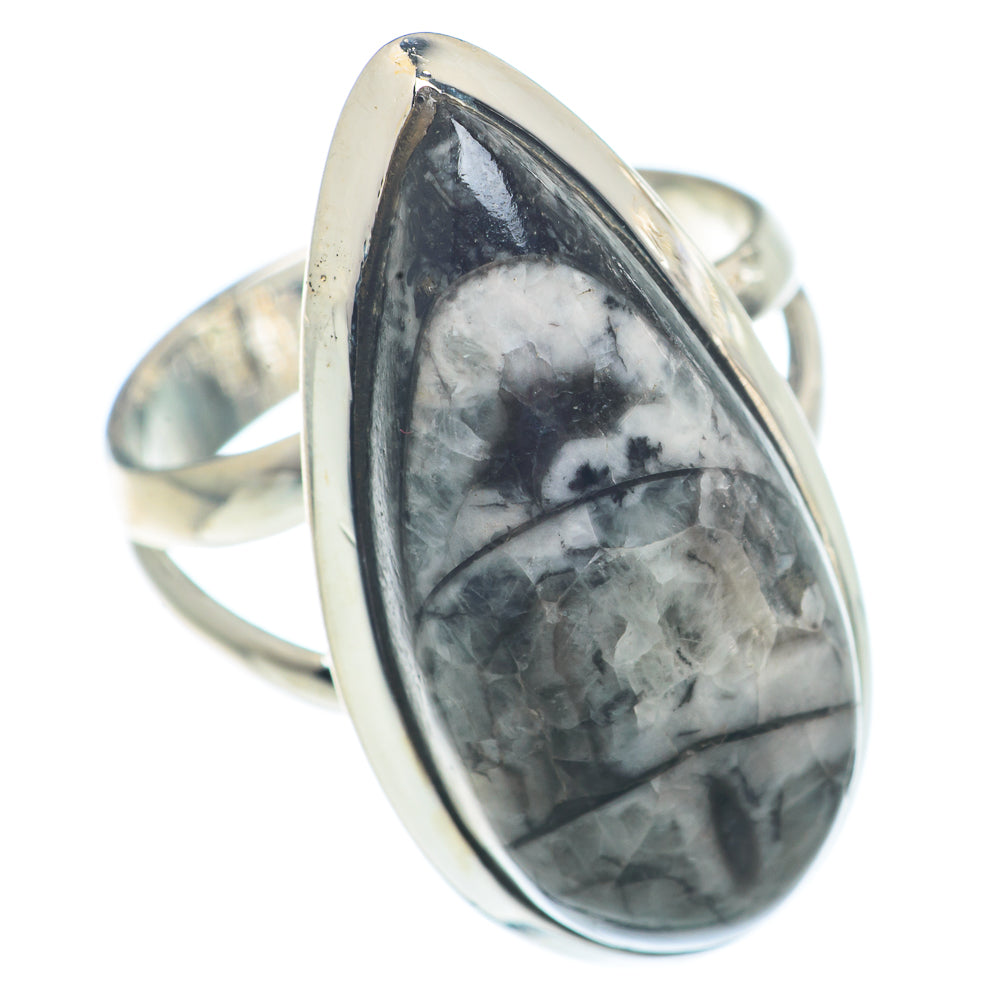 Orthoceras Fossil Rings handcrafted by Ana Silver Co - RING72843