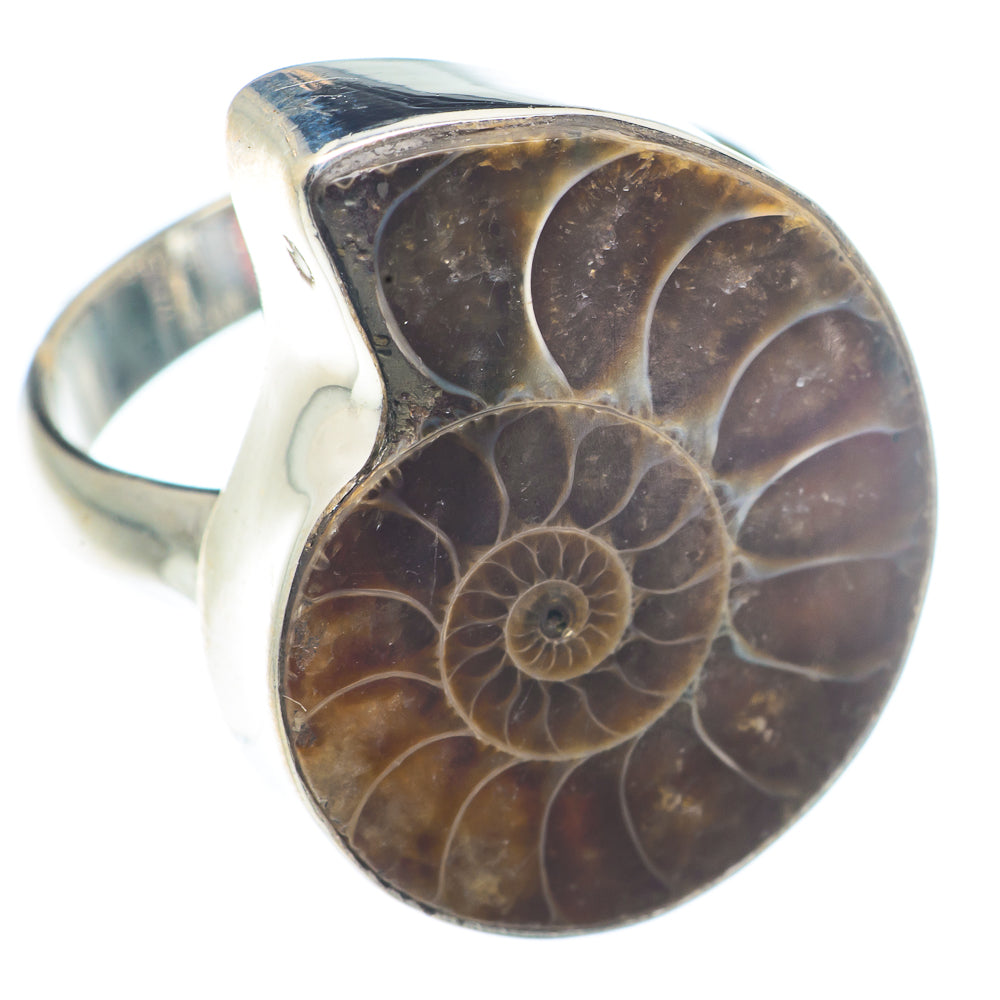 Ammonite Fossil Rings handcrafted by Ana Silver Co - RING72900