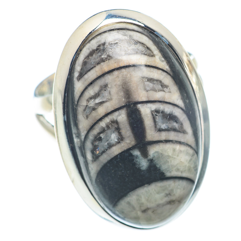Orthoceras Fossil Rings handcrafted by Ana Silver Co - RING72918