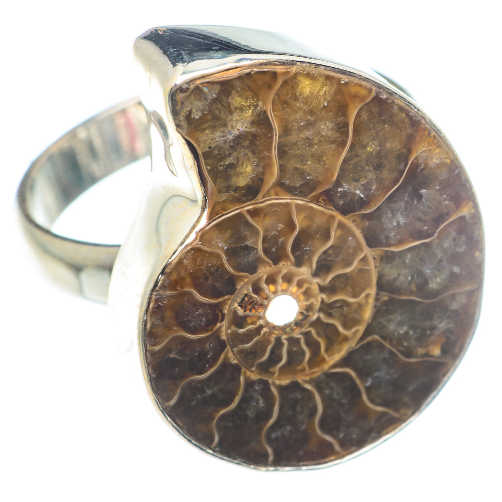 Ammonite Fossil Rings handcrafted by Ana Silver Co - RING72943