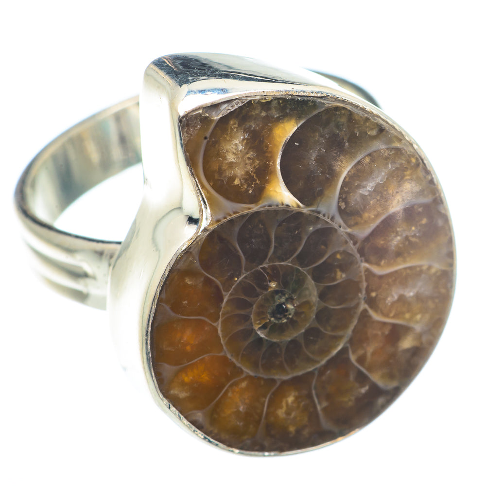 Ammonite Fossil Rings handcrafted by Ana Silver Co - RING73019