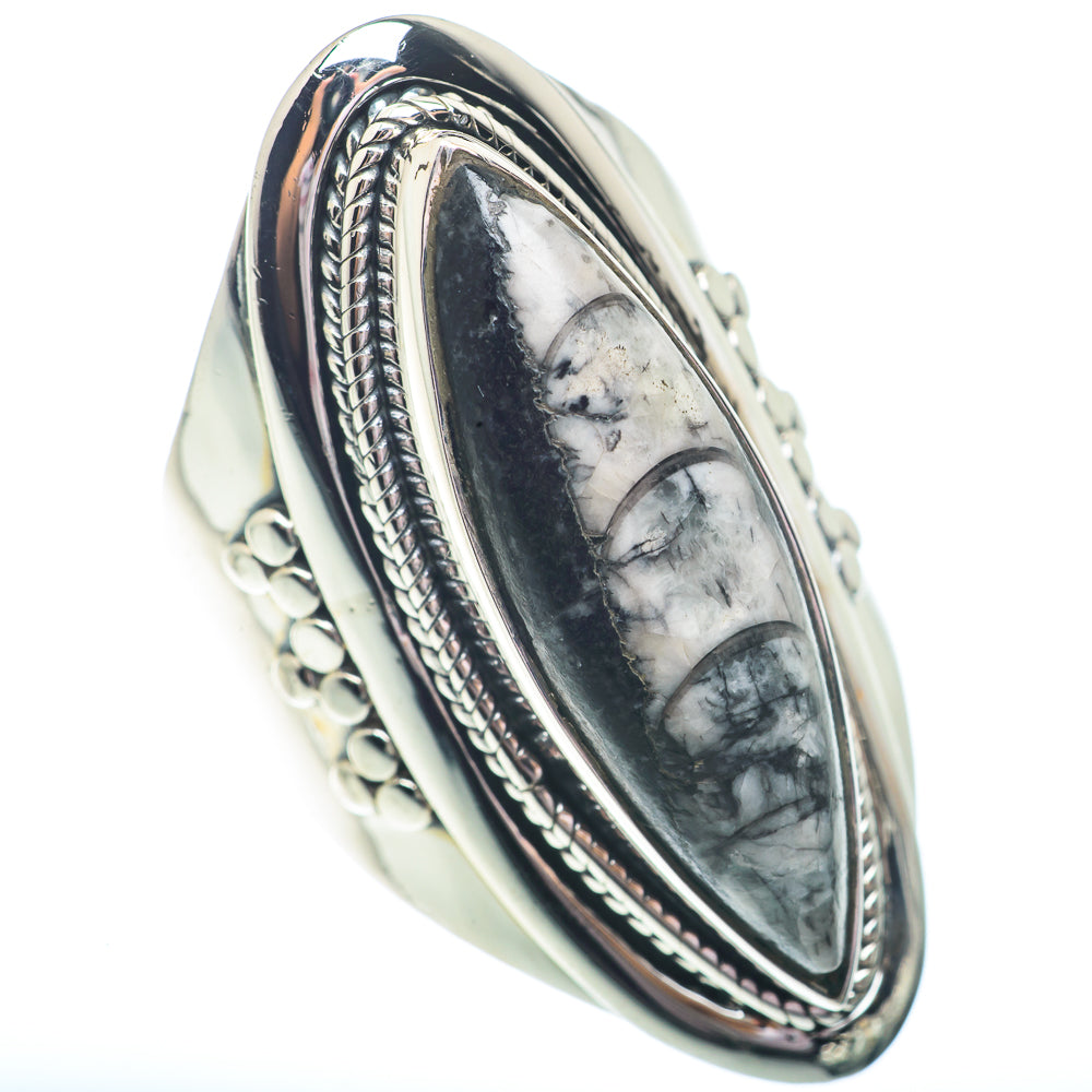 Orthoceras Fossil Rings handcrafted by Ana Silver Co - RING73077