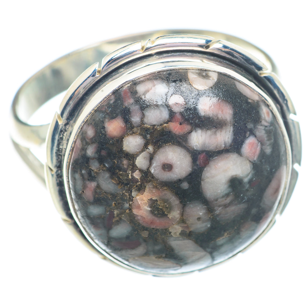 Crinoid Fossil Rings handcrafted by Ana Silver Co - RING73488
