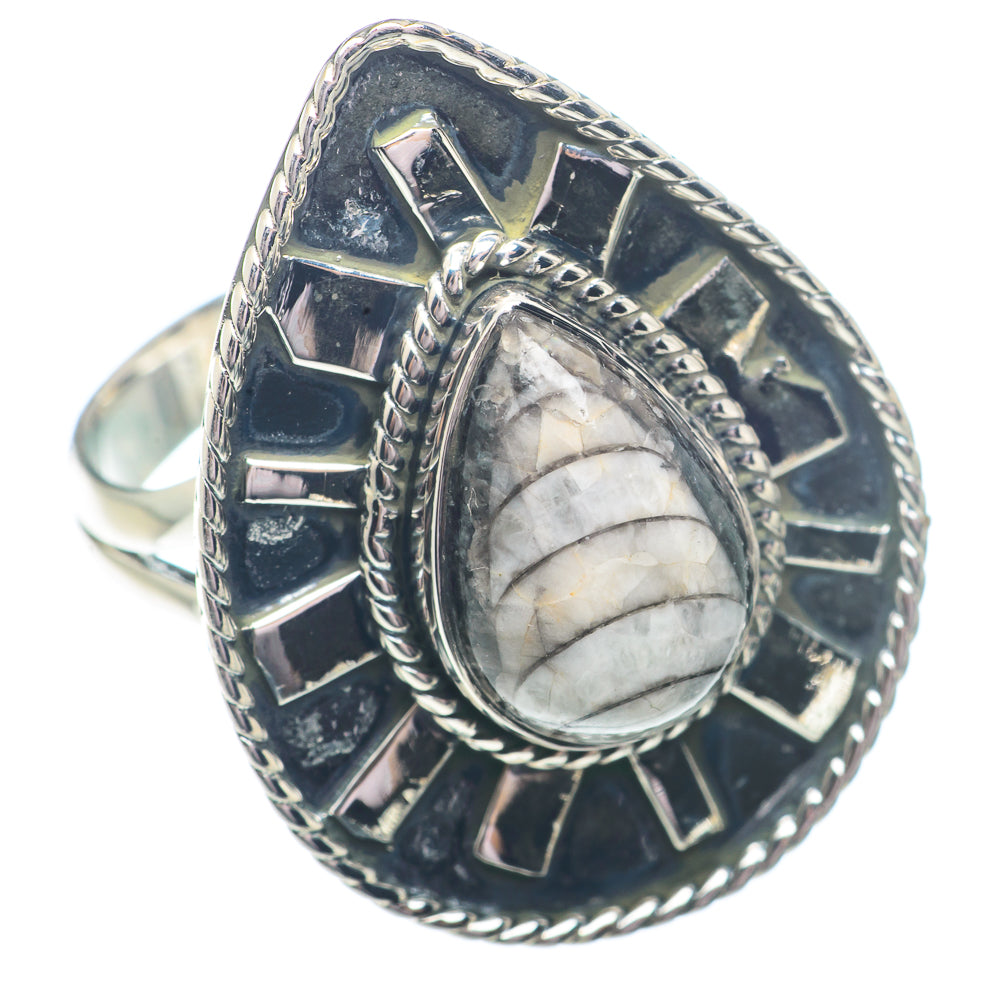 Orthoceras Fossil Rings handcrafted by Ana Silver Co - RING73518