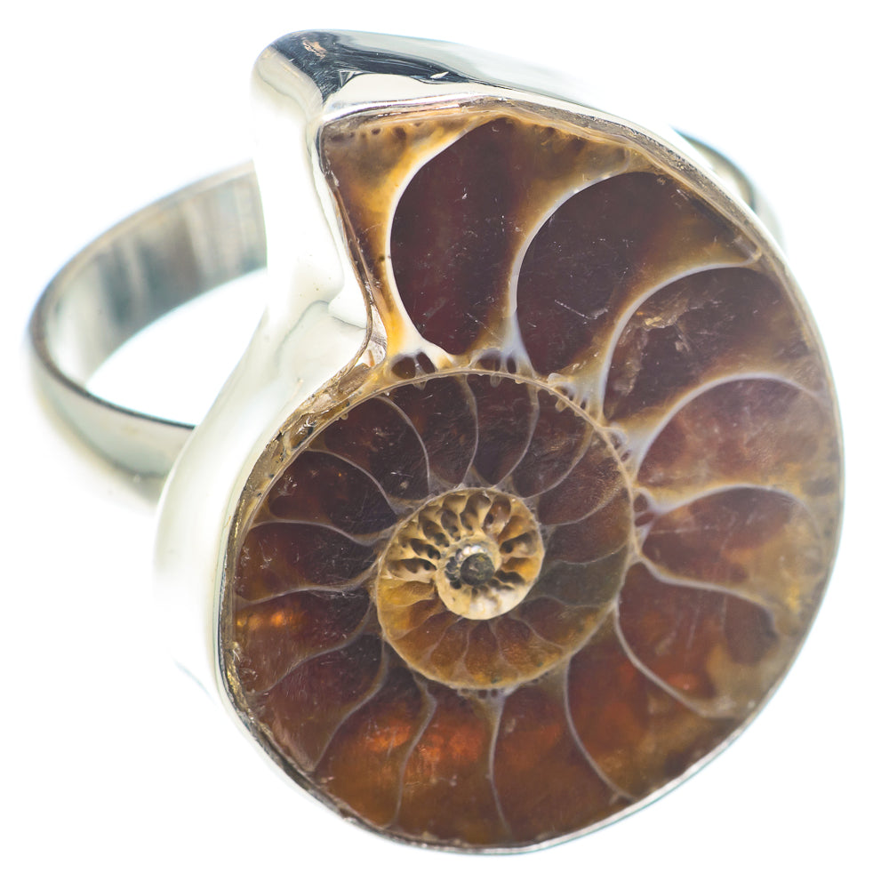 Ammonite Fossil Rings handcrafted by Ana Silver Co - RING73584