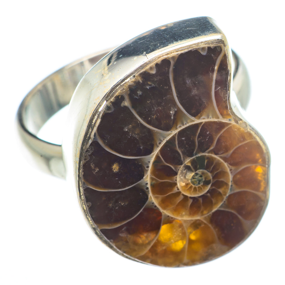 Ammonite Fossil Rings handcrafted by Ana Silver Co - RING73721