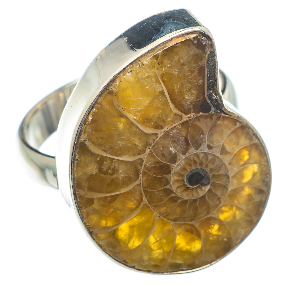Ammonite Fossil Rings handcrafted by Ana Silver Co - RING73790