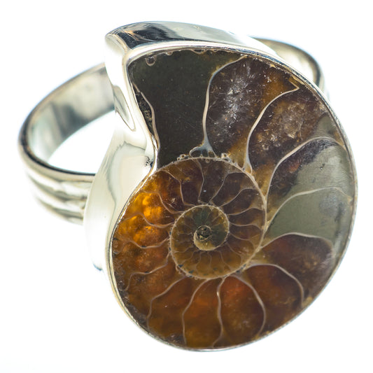 Ammonite Fossil Rings handcrafted by Ana Silver Co - RING74036