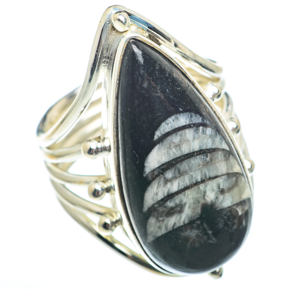 Sterling silver oval fossil ring with dark stone and white orthoceras pattern
