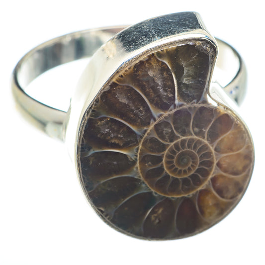 Ammonite Fossil Rings handcrafted by Ana Silver Co - RING74112