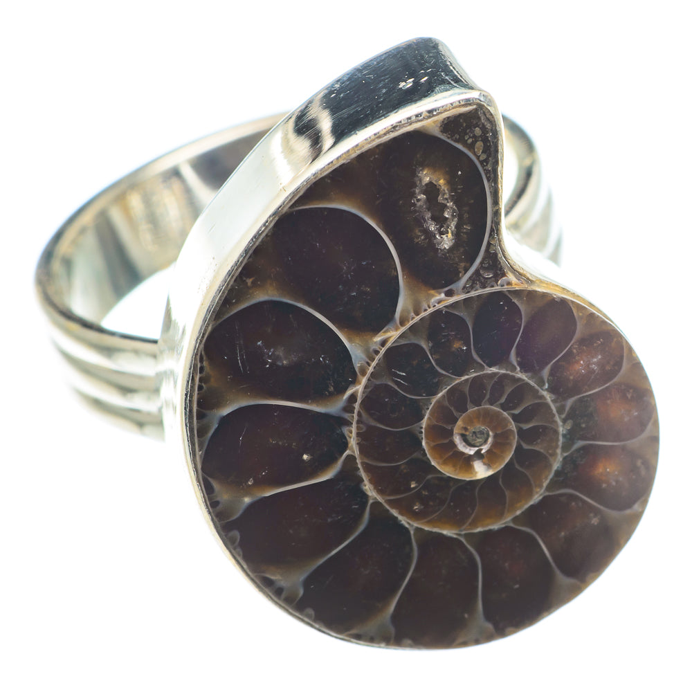 Ammonite Fossil Rings handcrafted by Ana Silver Co - RING74199