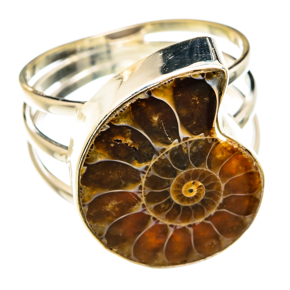 Large ammonite fossil ring in oval bezel, amber spiral stone with 925 silver band