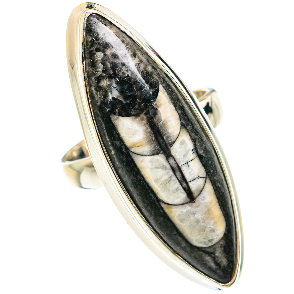 Orthoceras Fossil Rings handcrafted by Ana Silver Co - RING76184