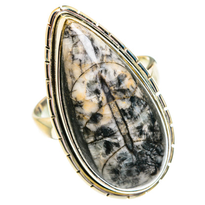 Orthoceras Fossil Rings handcrafted by Ana Silver Co - RING76949