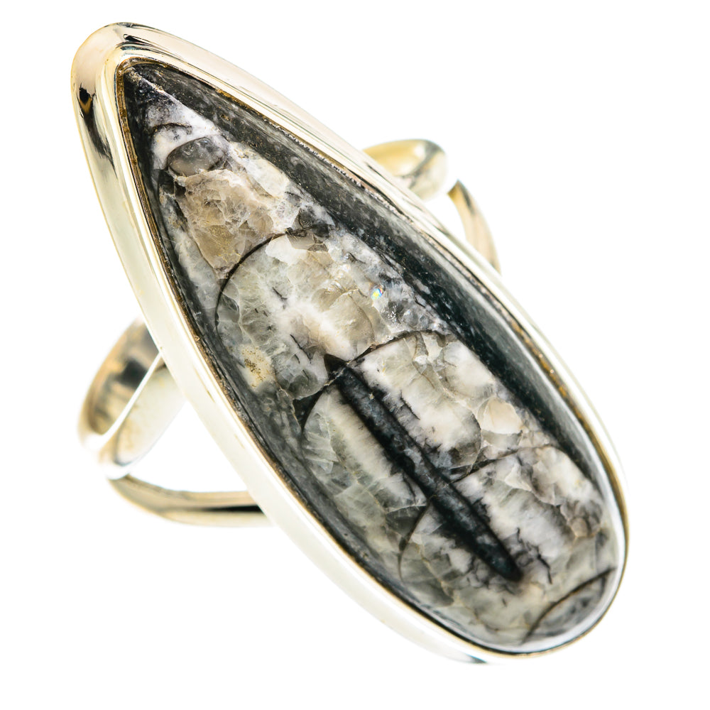 Orthoceras Fossil Rings handcrafted by Ana Silver Co - RING77324