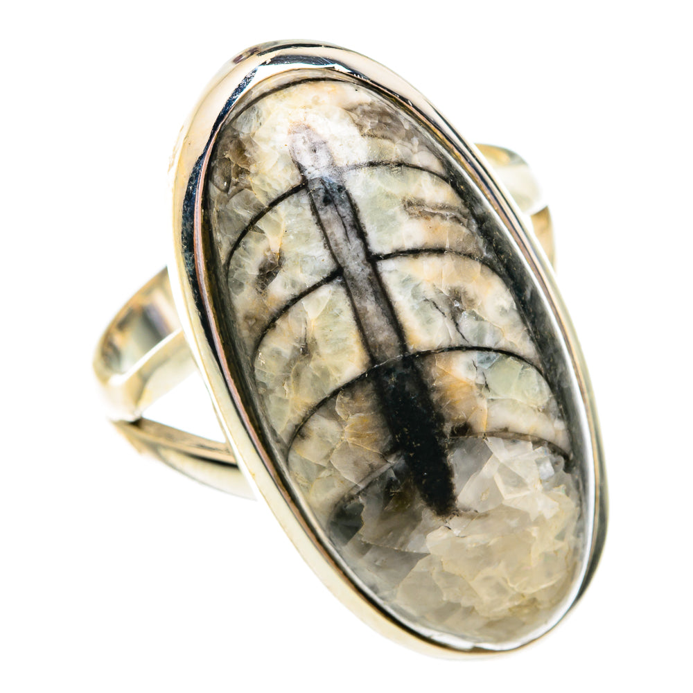 Sterling silver oval fossil ring with raised orthoceras cabochon, dark veining