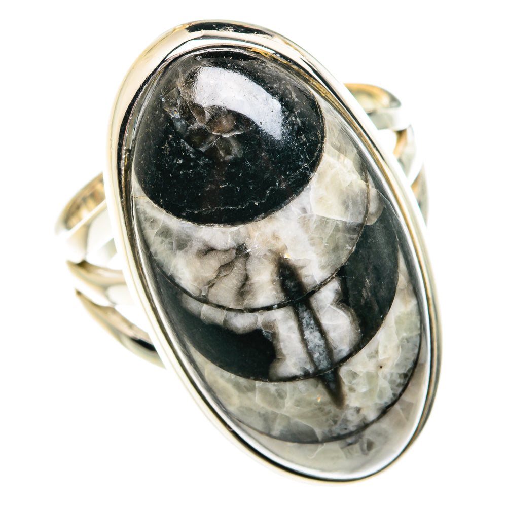 Orthoceras Fossil Rings handcrafted by Ana Silver Co - RING77504