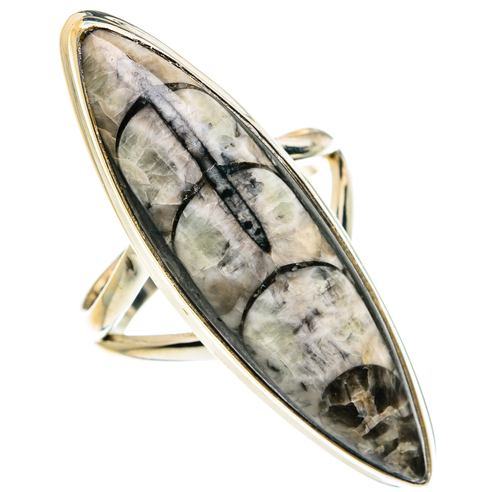 Orthoceras Fossil Rings handcrafted by Ana Silver Co - RING77692