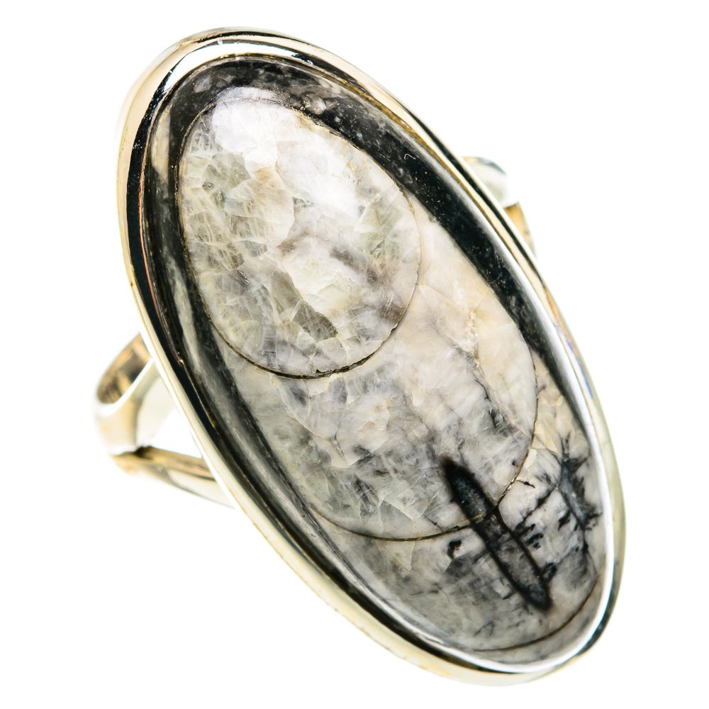 Orthoceras Fossil Rings handcrafted by Ana Silver Co - RING77719