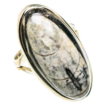 Orthoceras Fossil Rings handcrafted by Ana Silver Co - RING77719