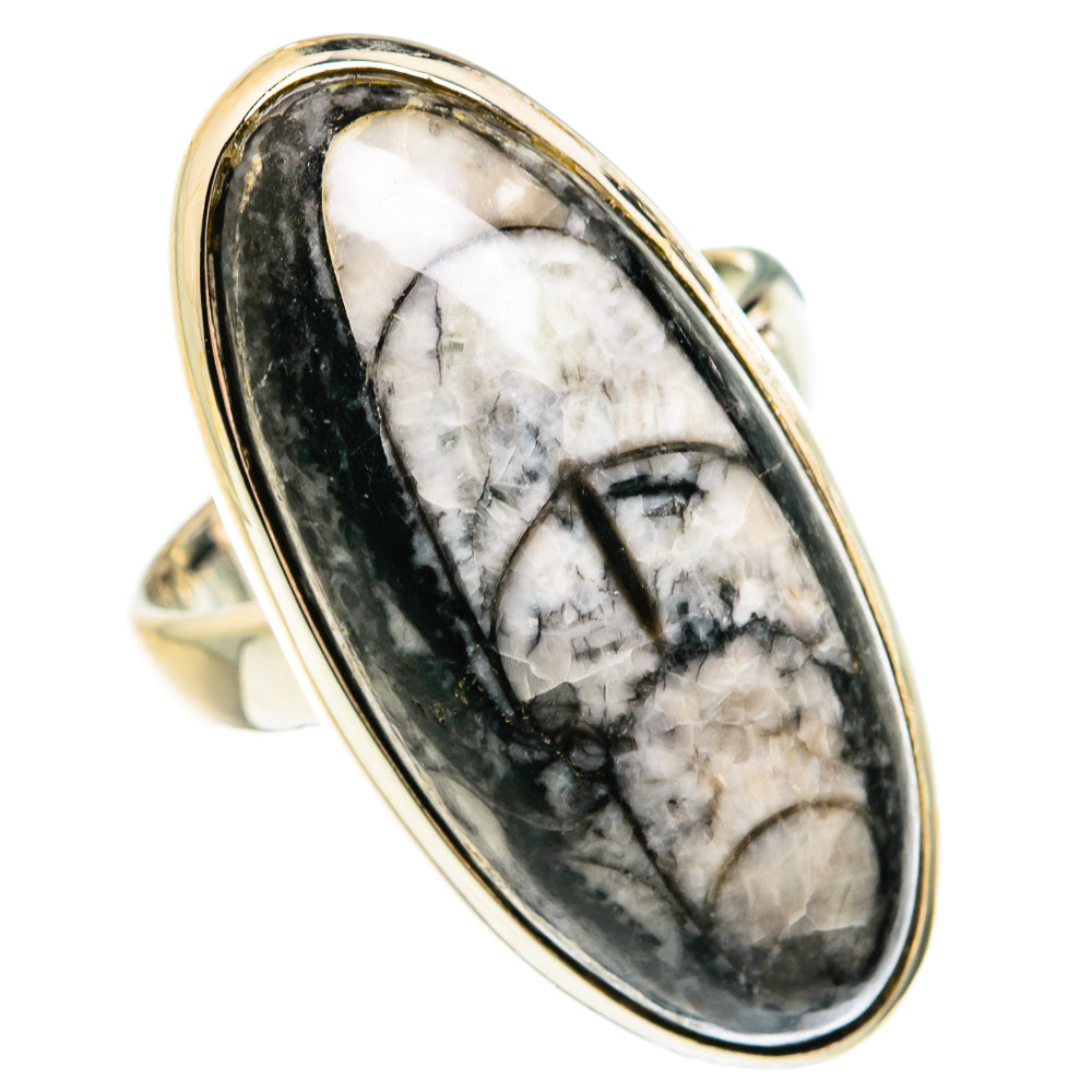 Orthoceras Fossil Rings handcrafted by Ana Silver Co - RING78012