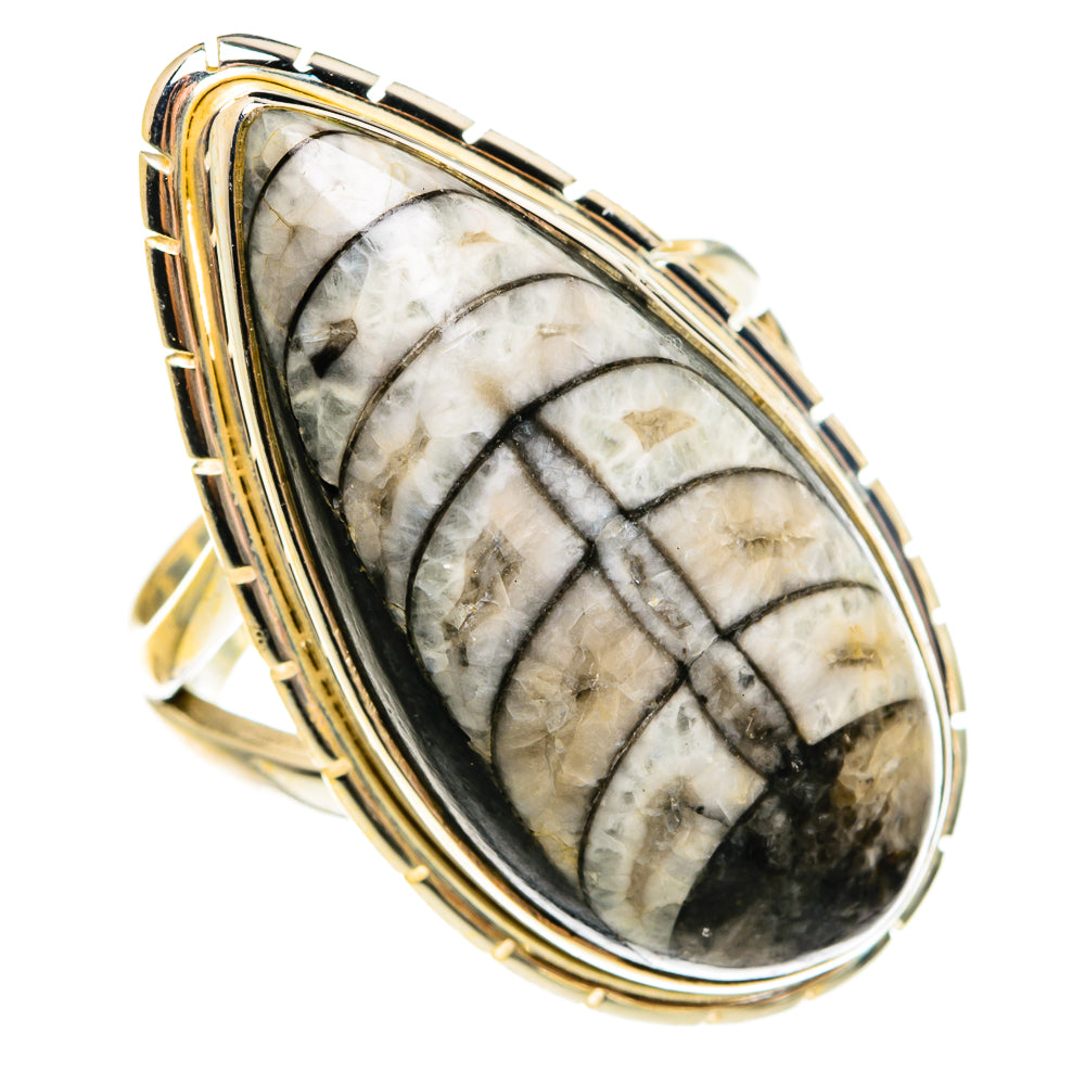 Orthoceras Fossil Rings handcrafted by Ana Silver Co - RING78026