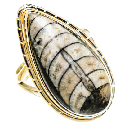 Orthoceras Fossil Rings handcrafted by Ana Silver Co - RING78026