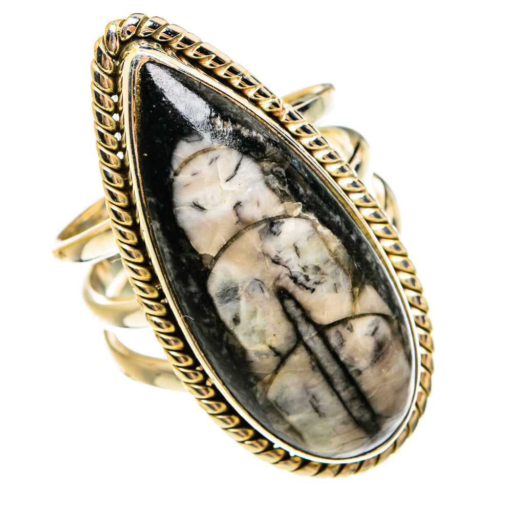 Orthoceras Fossil Rings handcrafted by Ana Silver Co - RING78057