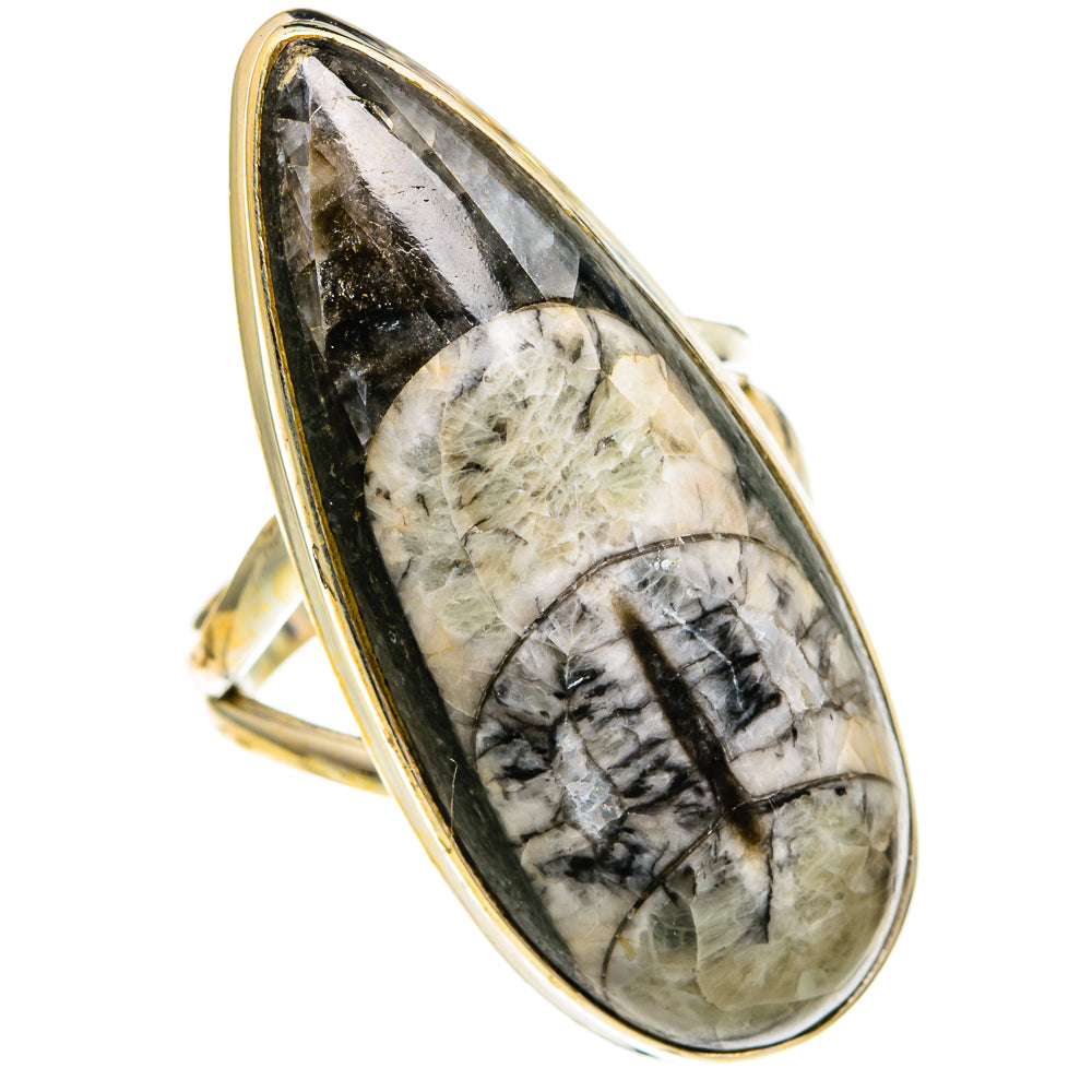 Orthoceras Fossil Rings handcrafted by Ana Silver Co - RING78131