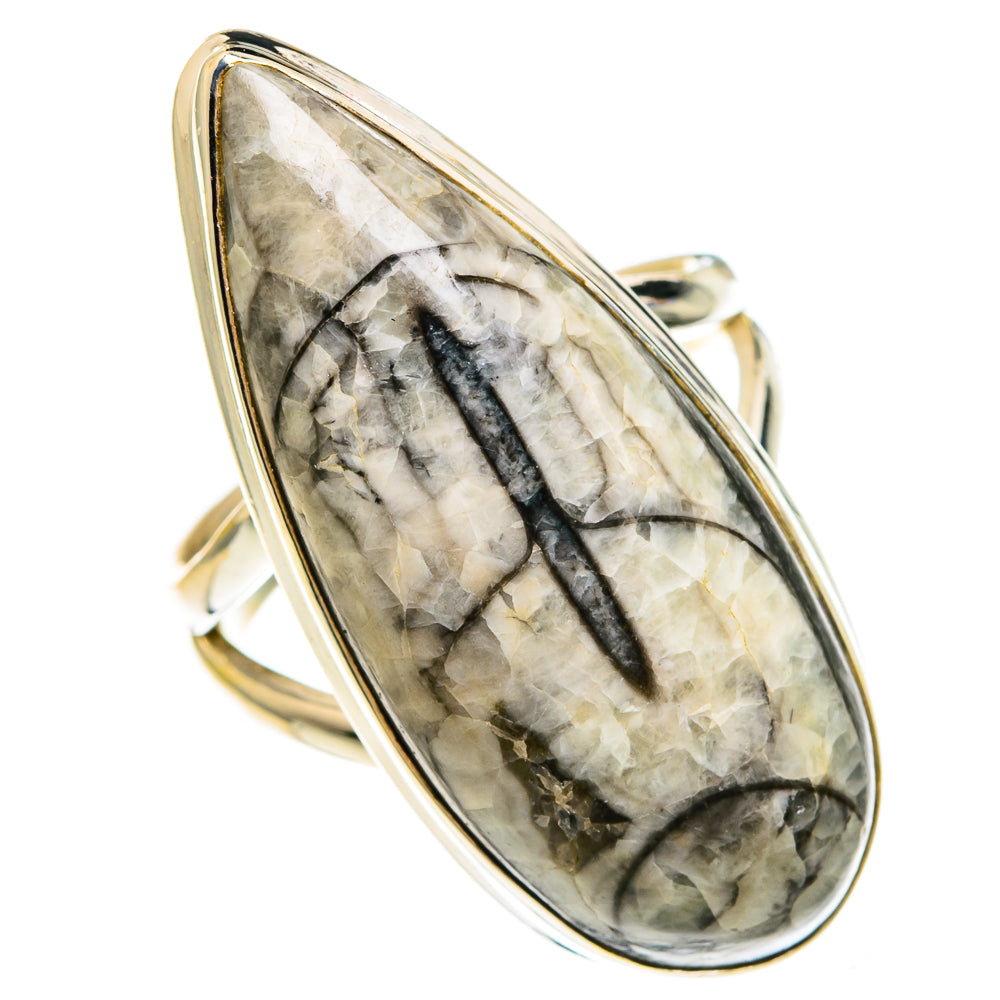 Sterling silver ring with large oval fossil stone and black central stripe