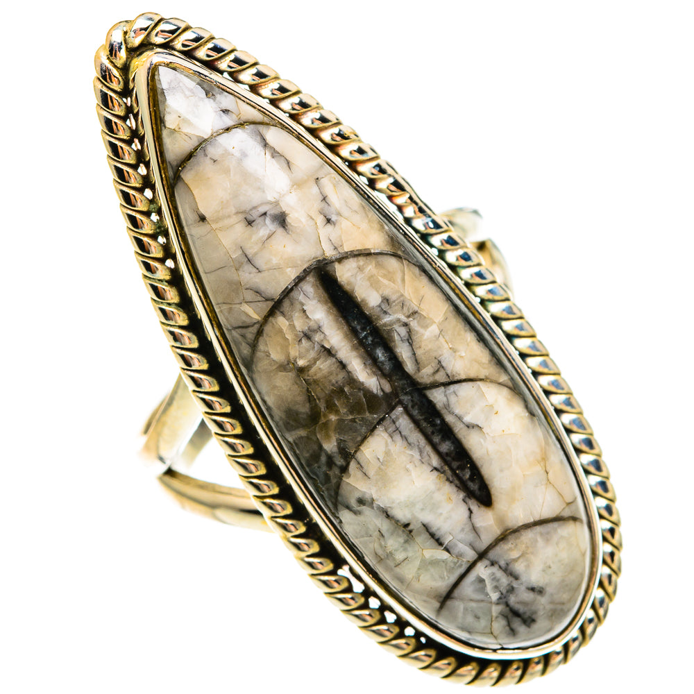 Orthoceras Fossil Rings handcrafted by Ana Silver Co - RING78143