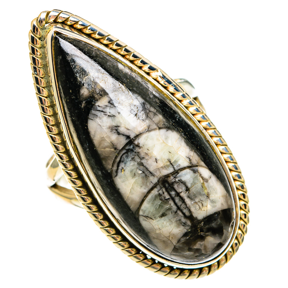 Orthoceras Fossil Rings handcrafted by Ana Silver Co - RING78168