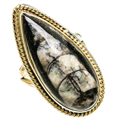 Orthoceras Fossil Rings handcrafted by Ana Silver Co - RING78168