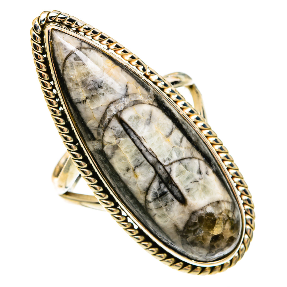 Orthoceras Fossil Rings handcrafted by Ana Silver Co - RING78179