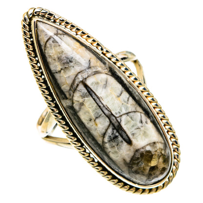 Orthoceras Fossil Rings handcrafted by Ana Silver Co - RING78179