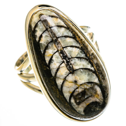 Orthoceras Fossil Rings handcrafted by Ana Silver Co - RING78521